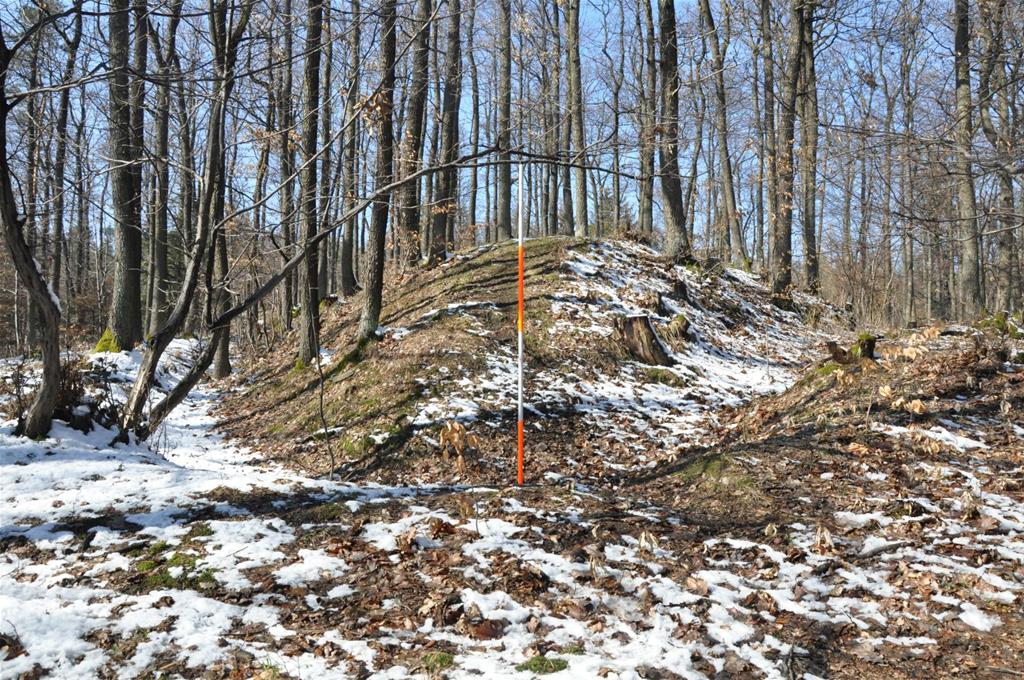 Over one hundred fortifications found in Sudetes