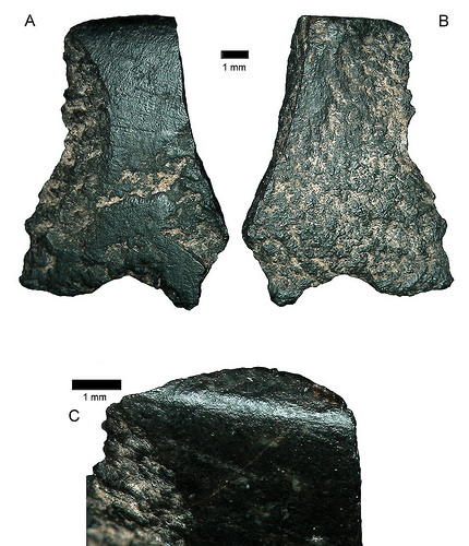 Probably the oldest-known axe found in Australia