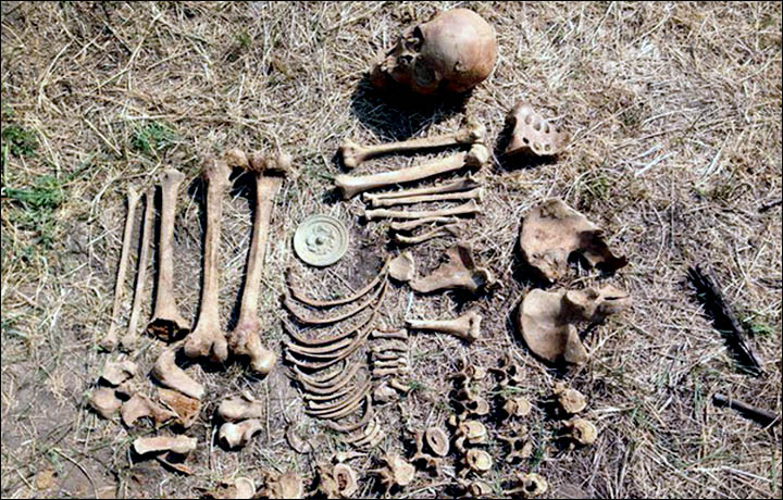 Remains of a Mongolian noblewoman discovered