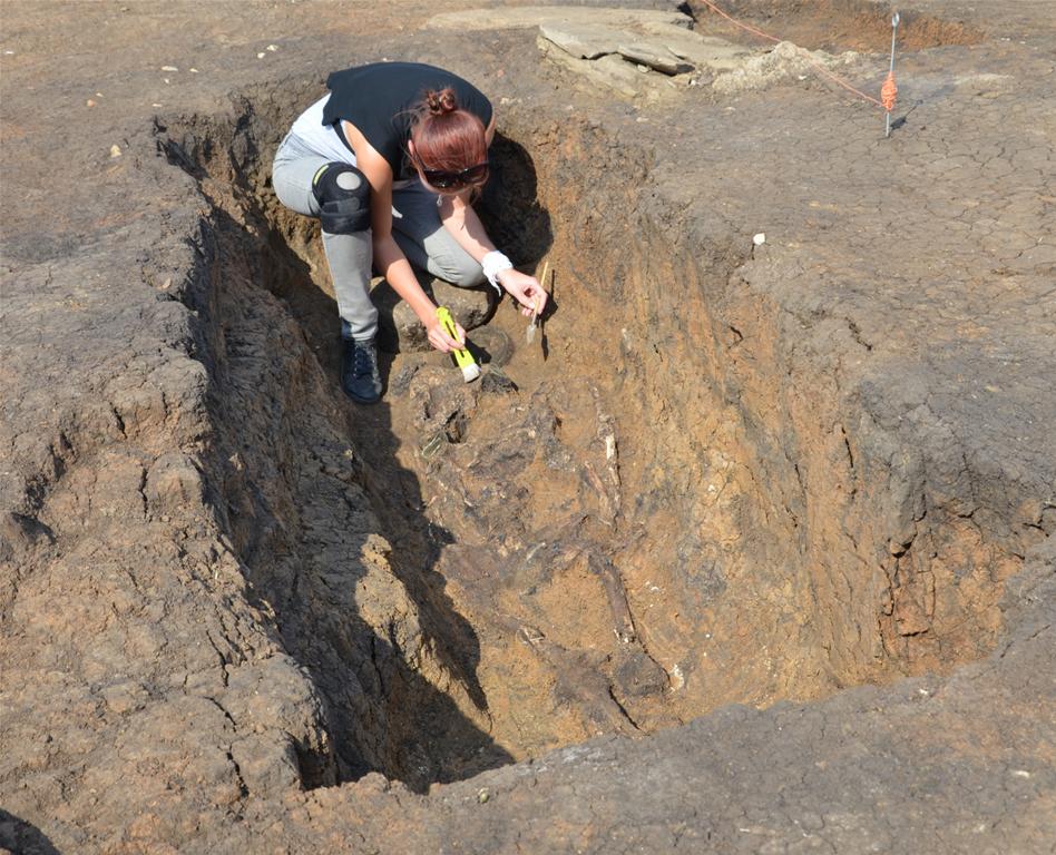A Markomannic warrior grave unearthed in Czech Republic