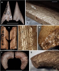 Bone tools found in China (by PhysOrg)