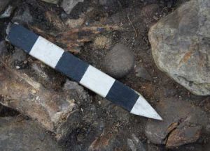 A stone arrowhead found in the dig (by Western Digs)
