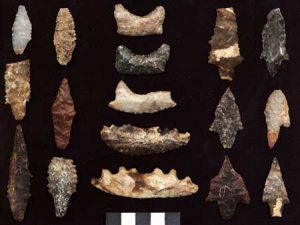 Points of projectile weapons found on a nearby San Miguel Island belonging to the Paleocoastal culture of the Channel Islands (by Western Digs). 