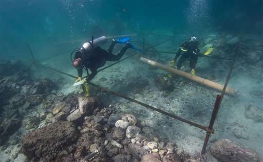 Over 1500 shipwrecks found in the coast of Oman