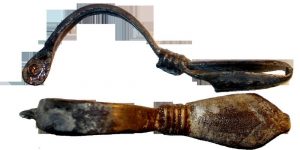 Partially preserved fibula (by S. Miłek)