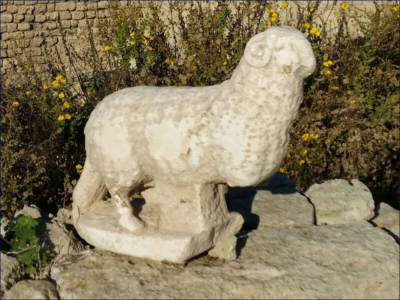 Byzantine Period church reveals a marble statue of a ram