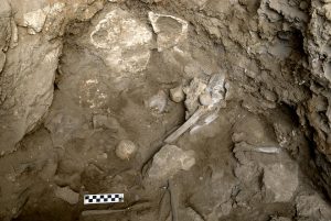 Remains of the burial in the cave (by EurekAlert!)
