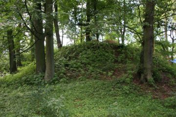 Remains of a knight's motte unearthed