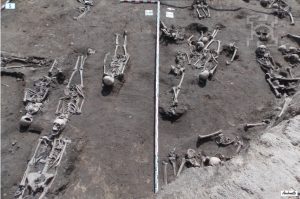 Inhumations discovered during excavations (by Lublin112.pl)