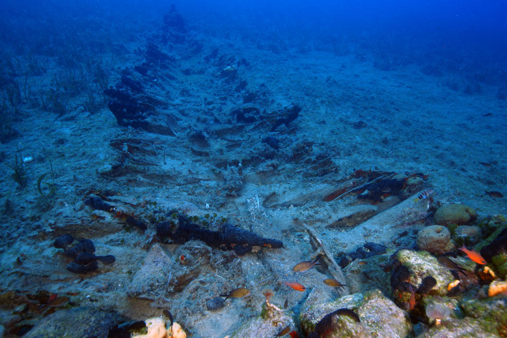 Aegean coast reveals nearly 50 shipwrecks from various eras