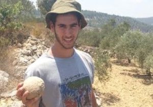 The stone ballista ball presented at the site (by The jerusalem Post)