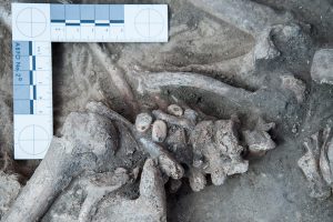 Beads found on the child skeleton (by Maksym Mackiewicz)
