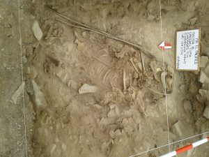 Excavations at the site (by Living in Peru)