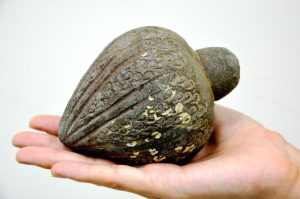 Grenade from the time of crusades (by Live Science)