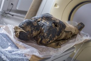 The mummy during CT scans (by Olek Leydo)