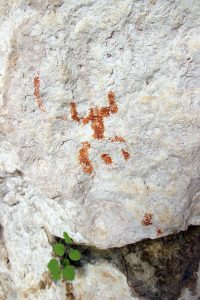 Prehistoric cave art found in Cilicia (by Daily Sabah)