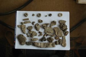 Finds from the excavations (by Polska Times)