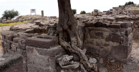 Byzantine inn complex discovered in ancient Greek city of Assos