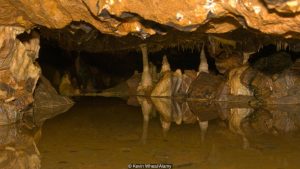 Gough's cave (by BBC)