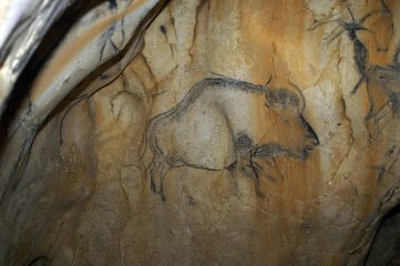 Discovering extinct bison hybrid through Palaeolithic cave paintings and DNA analysis