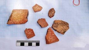 Clay pottery fragments (by Daily Mirror)