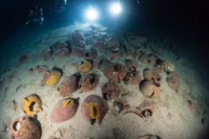 Amphorae found as the cargo (by International Business Times)