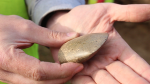 A polished hand axe (by The Journal)