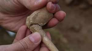 200-year-old clay pipe (by The Journal)