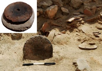 Numerous archaeological finds at a Canaanite palace