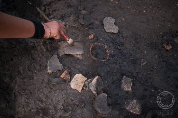 Seed remains from Early Medieval times found
