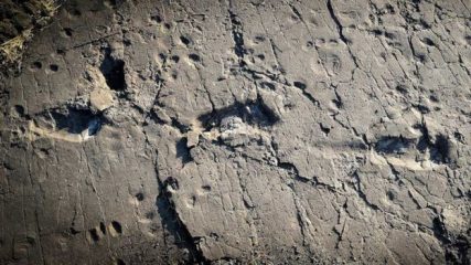 Hominid footprints uncovered in Tanzania