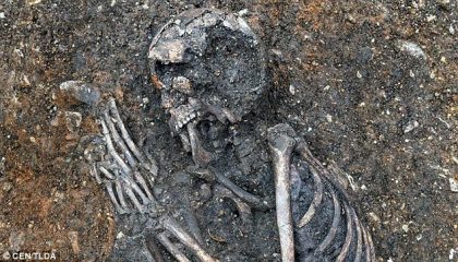 Neolithic skeleton of a 16-year-old girl that died of tuberculosis found