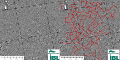 Intriguing linear features found in Białowieża Forest by LiDAR