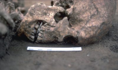 Burial of a man with a stone in his mouth discovered