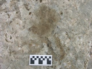 Footprints at Tibetan Plateau might prove people lived there earlier than thought