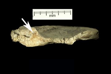 Rock with crystals points to behaviour of Neanderthals