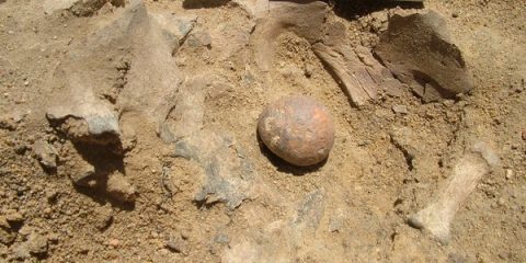 12000-year-old prostate stones found in an ancient cemetery