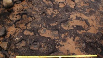 Mesolithic footprints found in Wales
