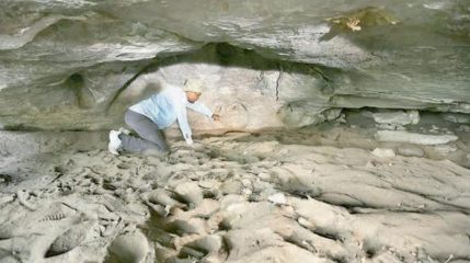 Caves inhabited in Neolithic found in East India