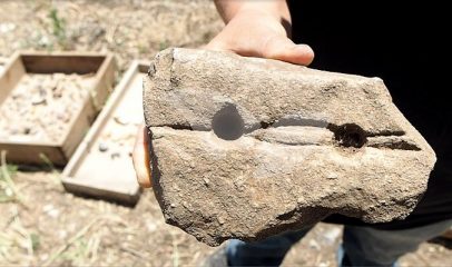 Prehistoric stone used to start fire discovered