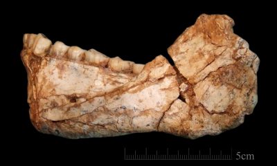Excavations in Moroccan mine reveal oldest Homo sapiens' remains
