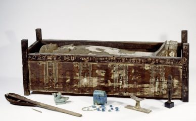 Successful analysis of ancient Egyptian mummy DNA