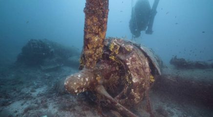 Bodies found in wreck of a B24 airplane downed in 1944