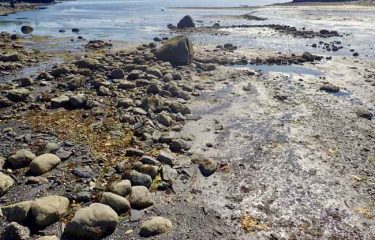 First Prehistoric stone fishtrap found at an Alaskan island