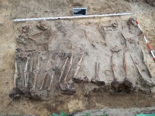 Remains of soldiers found by archaeologists aided by sappers