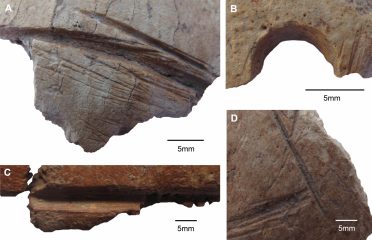 Cut marks on skulls from Göbekli Tepe found