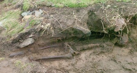 Storm uncovers Iron Age skeletal remains