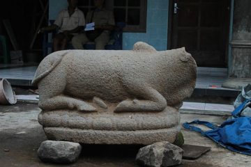 Ancient cow statue unearthed during banana planting