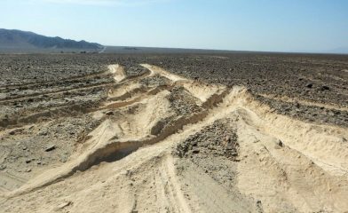 Nazca lines damaged by truck driver