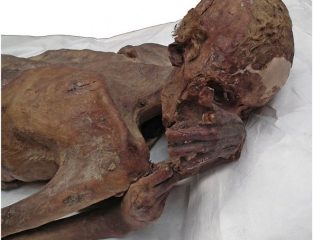 Possibly oldest tattoo found on Egyptian mummy
